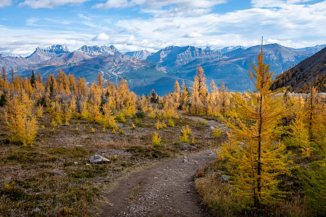 Hike the Canadian Rockies