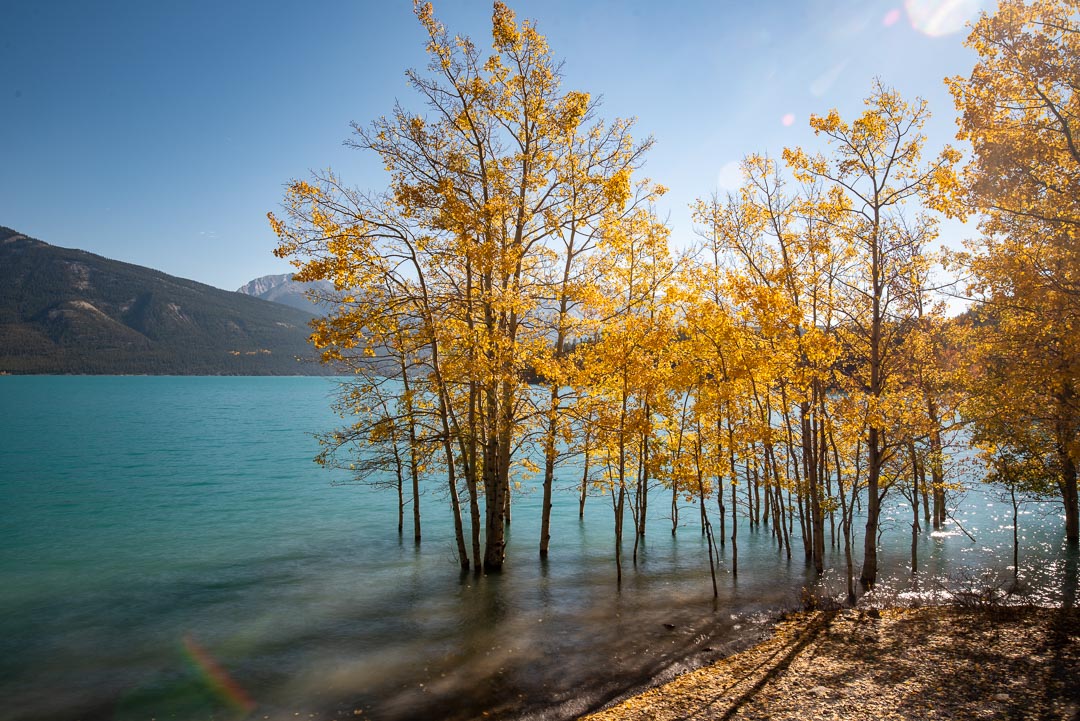 Hike the Canadian Rockies