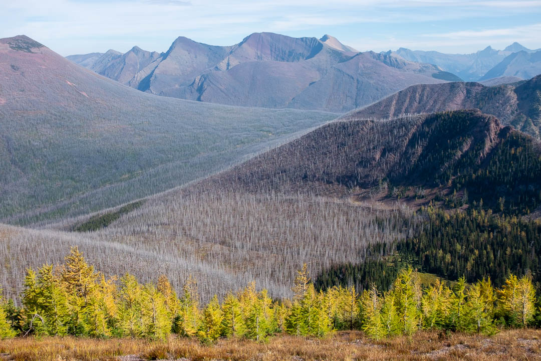 Hike the Canadian Rockies