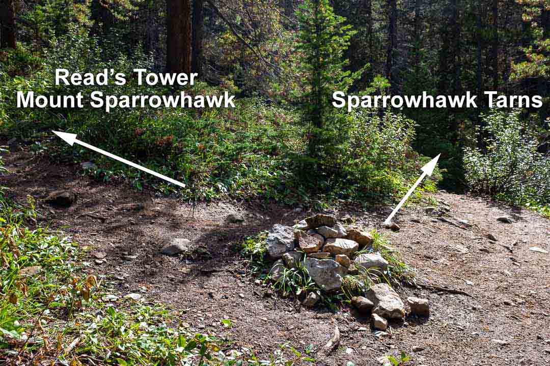 Reading Spring Ridge Location Hike the Canadian Rockies