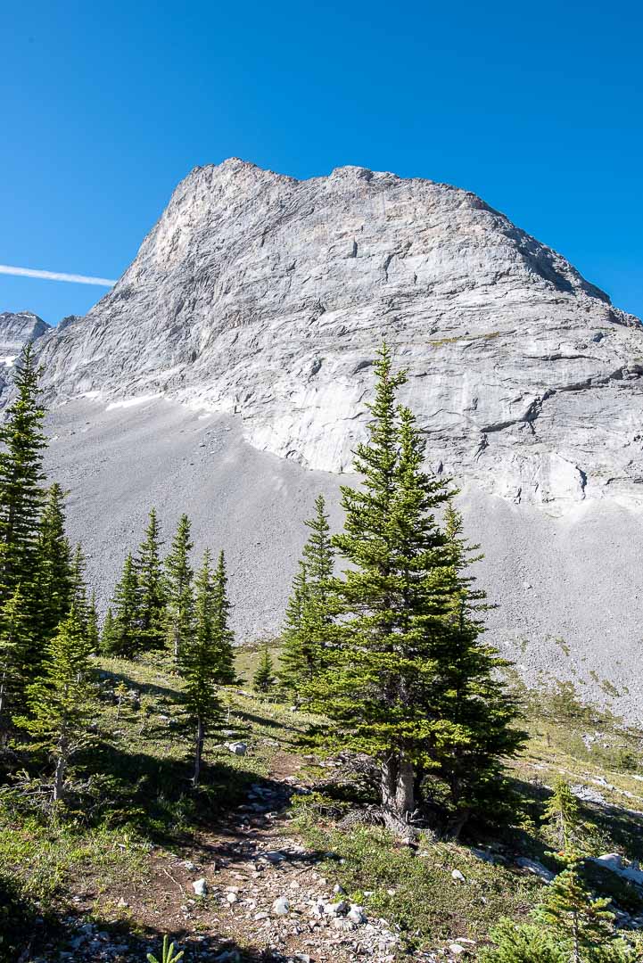 Mount Rae Hike the Canadian Rockies